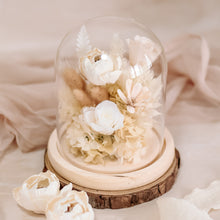 Load image into Gallery viewer, Cashmere