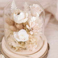 Load image into Gallery viewer, Cashmere