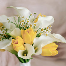 Load image into Gallery viewer, Goldilocks (Fresh)