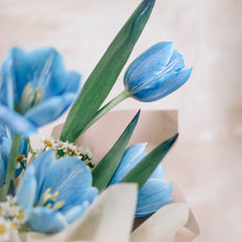 Load image into Gallery viewer, Ocean Blue (Fresh)