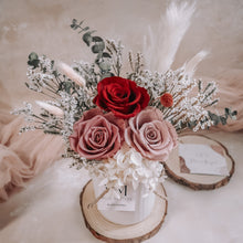 Load image into Gallery viewer, Red Velvet (Preserved)