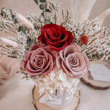 Load image into Gallery viewer, Red Velvet (Preserved)