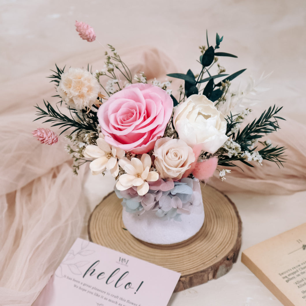 Rosy Radiance (Preserved)